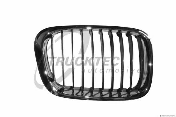 0862258 Trucktec Grille radiator