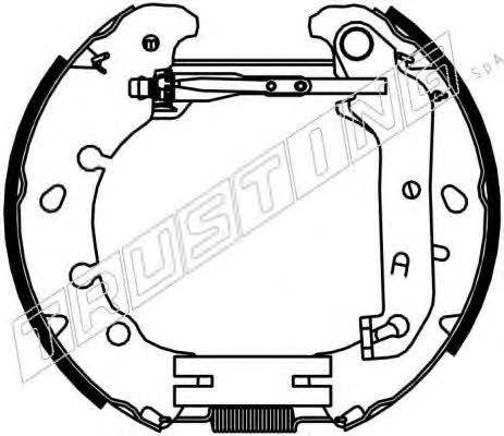 Trusting 6391 Brake shoe set 6391