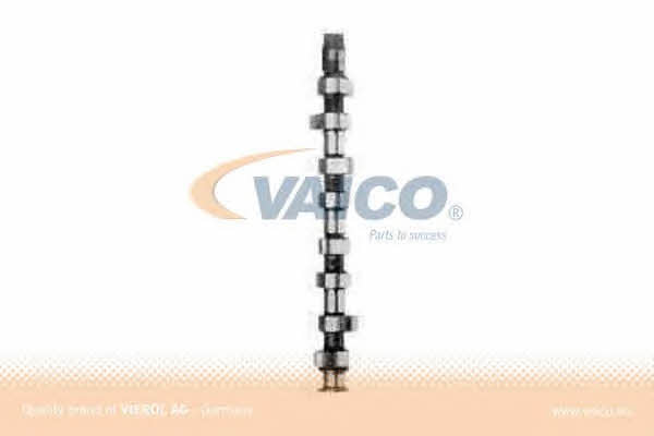 Buy Vaico V10-0131 at a low price in United Arab Emirates!