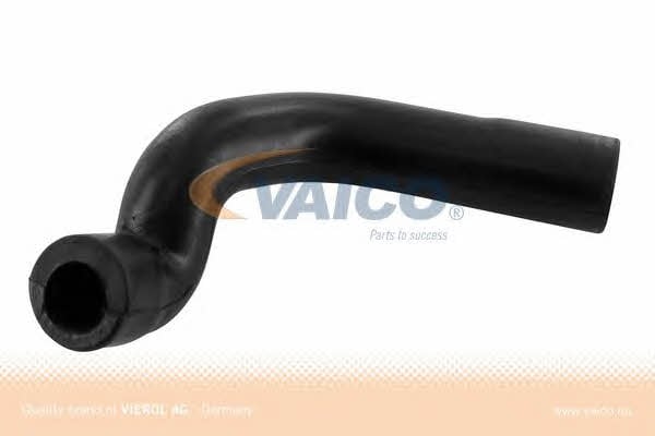 Buy Vaico V30-1613 at a low price in United Arab Emirates!