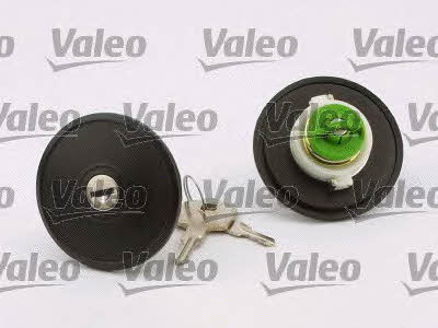 Fuel Door Assembly Valeo 247506