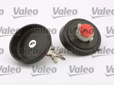 Valeo 247517 Fuel Door Assembly 247517