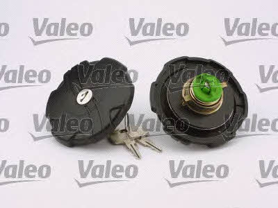 Valeo 247554 Fuel Door Assembly 247554