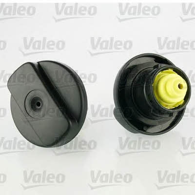 Fuel Door Assembly Valeo 247616