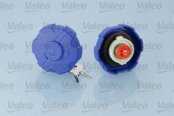 247617 Valeo Fuel Door Assembly
