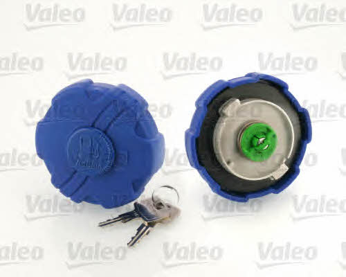 Valeo 247714 Fuel Door Assembly 247714