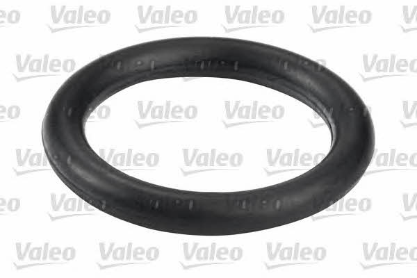 Valeo 587504 Fuel filter 587504