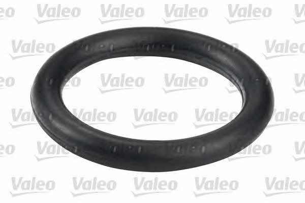 Valeo 587557 Fuel filter 587557