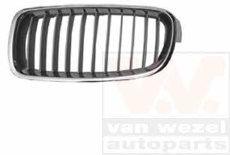 0670413 Van Wezel Radiator grill left