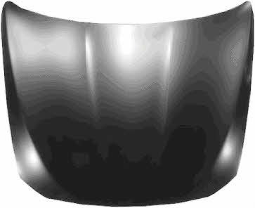 Bonnet BMW: 0617670 Van Wezel Hood