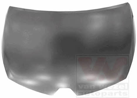 Car hood Renault: 4373660 Van Wezel Hood