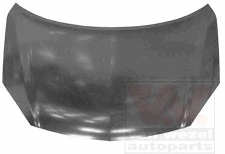 Car hood Renault: 4316660 Van Wezel Hood