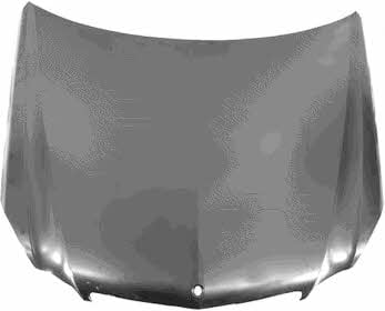 3044660 Van Wezel Hood