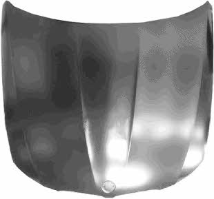 0667660 Van Wezel Hood