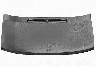Car hood Mercedes Sprinter: 3075660 Van Wezel Hood