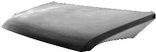 8381660 Van Wezel Hood