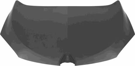 4377660 Van Wezel Hood