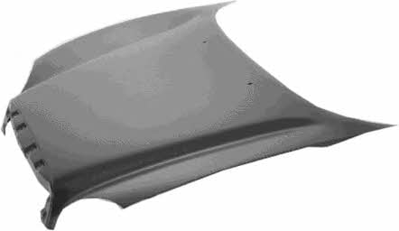 2545660 Van Wezel Hood