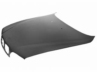 0639660 Van Wezel Hood