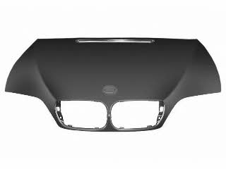 Car hood BMW 3 series: 0647660 Van Wezel Hood
