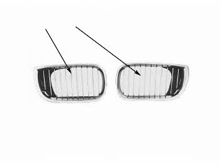 0649517 Van Wezel Radiator grill left