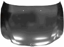 Bonnet BMW: 0655660 Van Wezel Hood