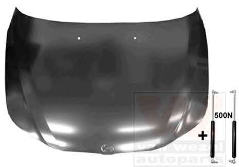 0655670 Van Wezel Hood