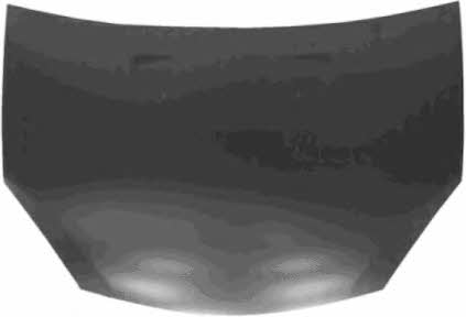 Bonnet Dacia: 1506660 Van Wezel Hood