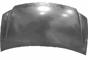 Bonnet Chrysler: 0733660 Van Wezel Hood