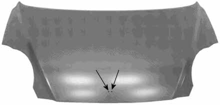 0807660 Van Wezel Hood