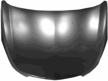 Bonnet Chevrolet: 0820660 Van Wezel Hood