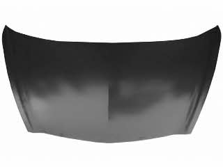 2543660 Van Wezel Hood