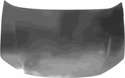 2511660 Van Wezel Hood