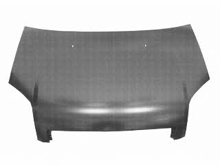 Van Wezel 1810660 Hood 1810660 1810660 Van Wezel Hood