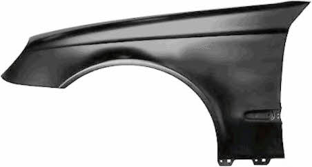 3041656 Van Wezel Front fender right