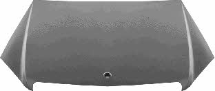 Bonnet Mercedes C-Class: 3091660 Van Wezel Hood
