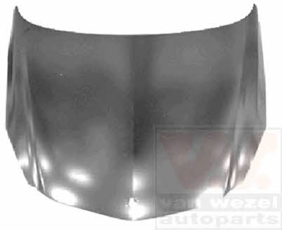 3850660 Van Wezel Hood