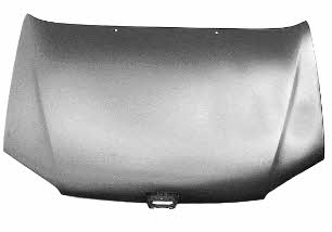 Car hood Peugeot: 4018660 Van Wezel Hood