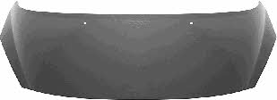 4029660 Van Wezel Hood