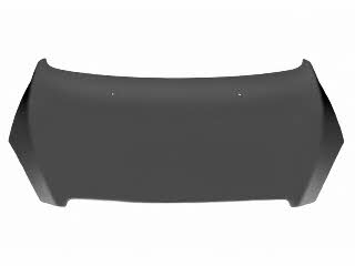 Bonnet Peugeot: 4040660 Van Wezel Hood