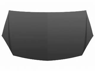 Van Wezel 3745660 Hood 3745660 3745660 Van Wezel Hood