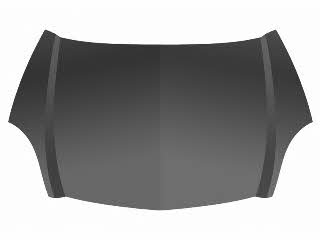Car hood Renault: 4311660 Van Wezel Hood
