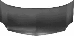 Car hood Renault: 4312660 Van Wezel Hood