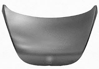 5803660 Van Wezel Hood