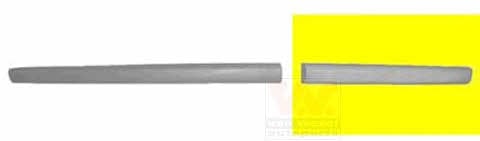 5827425 Van Wezel Rear door trim left
