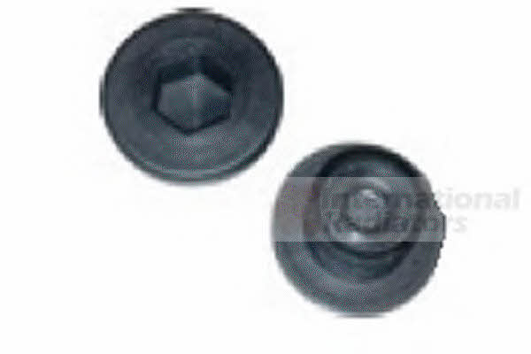 99002516 Van Wezel Coolant flange plug