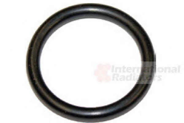 99002822 Van Wezel Coolant pipe