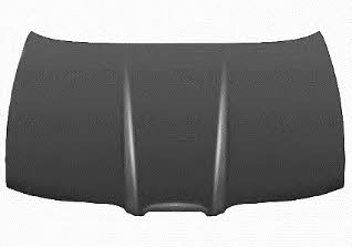 4933660 Van Wezel Hood