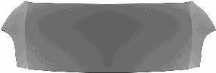 5222660 Van Wezel Hood