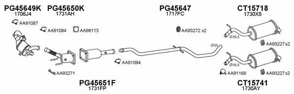  450439 Exhaust system 450439